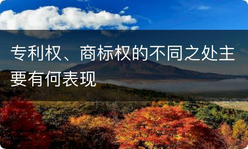 专利权、商标权的不同之处主要有何表现