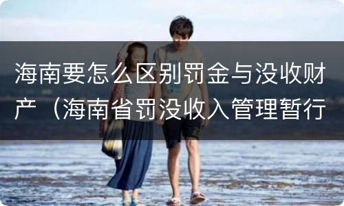 海南要怎么区别罚金与没收财产（海南省罚没收入管理暂行办法）