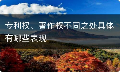 专利权、著作权不同之处具体有哪些表现