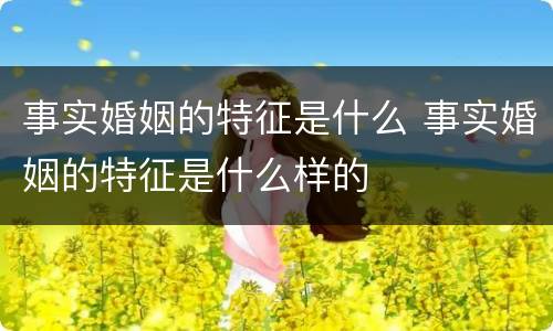 事实婚姻的特征是什么 事实婚姻的特征是什么样的