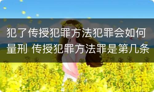 犯了传授犯罪方法犯罪会如何量刑 传授犯罪方法罪是第几条