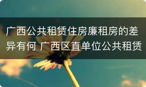 广西公共租赁住房廉租房的差异有何 广西区直单位公共租赁住房