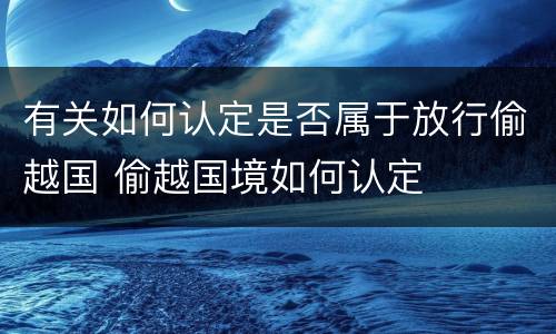 有关如何认定是否属于放行偷越国 偷越国境如何认定