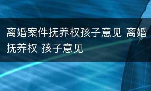 离婚案件抚养权孩子意见 离婚抚养权 孩子意见