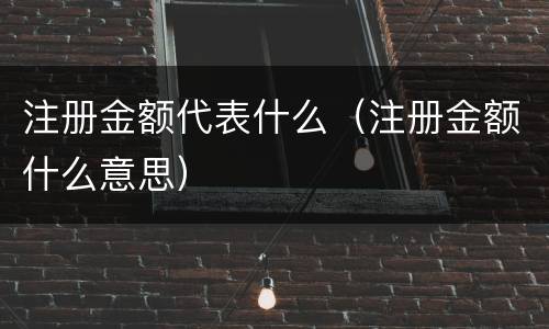 注册金额代表什么（注册金额什么意思）