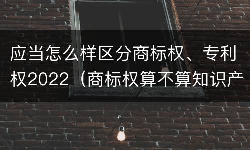 应当怎么样区分商标权、专利权2022（商标权算不算知识产权）