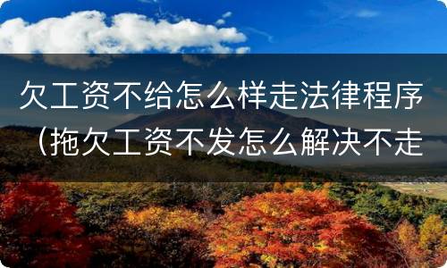 欠工资不给怎么样走法律程序（拖欠工资不发怎么解决不走法律程序）