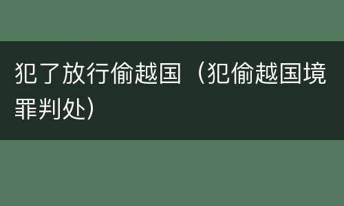 犯了放行偷越国（犯偷越国境罪判处）