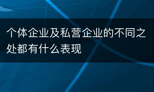 个体企业及私营企业的不同之处都有什么表现