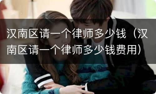 汉南区请一个律师多少钱（汉南区请一个律师多少钱费用）