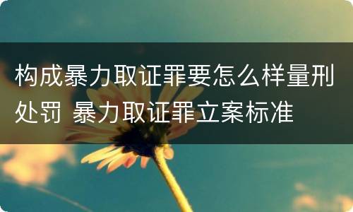 构成暴力取证罪要怎么样量刑处罚 暴力取证罪立案标准