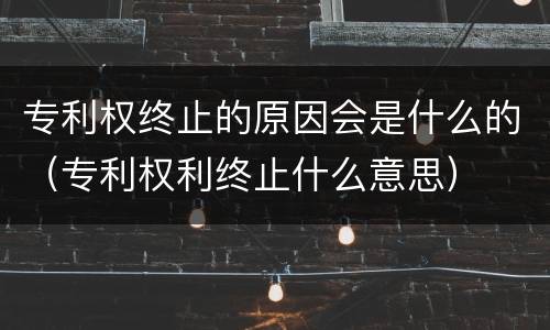 专利权终止的原因会是什么的（专利权利终止什么意思）