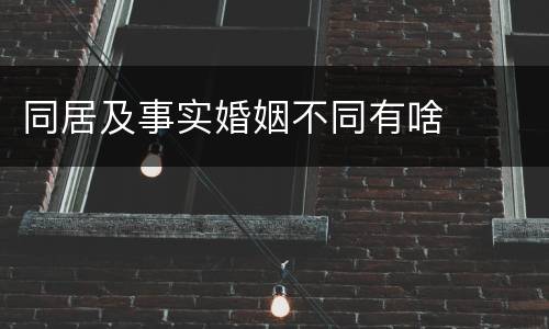同居及事实婚姻不同有啥