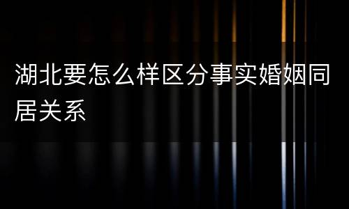湖北要怎么样区分事实婚姻同居关系