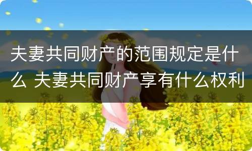 夫妻共同财产的范围规定是什么 夫妻共同财产享有什么权利