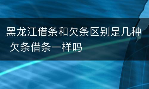 黑龙江借条和欠条区别是几种 欠条借条一样吗