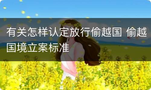 有关怎样认定放行偷越国 偷越国境立案标准