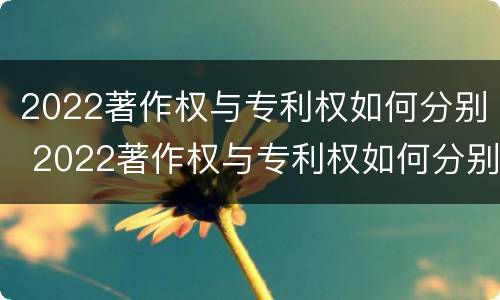 2022著作权与专利权如何分别 2022著作权与专利权如何分别获得
