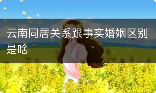 云南同居关系跟事实婚姻区别是啥