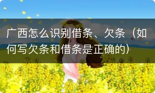 广西怎么识别借条、欠条（如何写欠条和借条是正确的）
