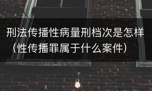 刑法传播性病量刑档次是怎样（性传播罪属于什么案件）