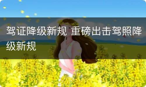 驾证降级新规 重磅出击驾照降级新规