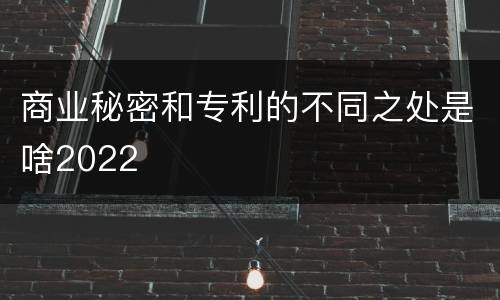 商业秘密和专利的不同之处是啥2022