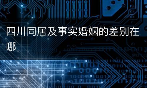 四川同居及事实婚姻的差别在哪