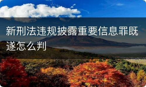 新刑法违规披露重要信息罪既遂怎么判