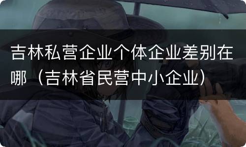 吉林私营企业个体企业差别在哪（吉林省民营中小企业）
