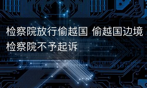 检察院放行偷越国 偷越国边境检察院不予起诉