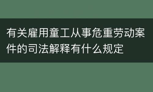 有关雇用童工从事危重劳动案件的司法解释有什么规定