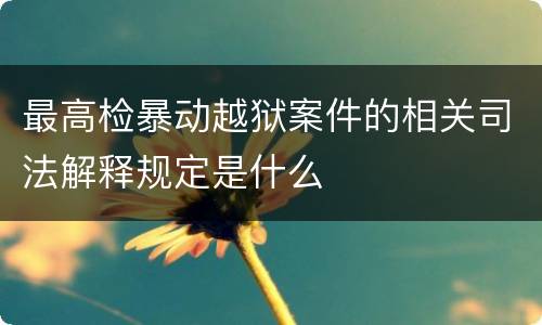 最高检暴动越狱案件的相关司法解释规定是什么