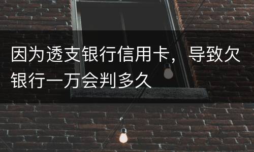 因为透支银行信用卡，导致欠银行一万会判多久