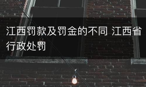 江西罚款及罚金的不同 江西省行政处罚