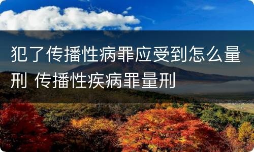 犯了传播性病罪应受到怎么量刑 传播性疾病罪量刑