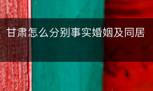 甘肃怎么分别事实婚姻及同居
