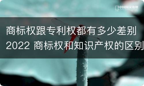 商标权跟专利权都有多少差别2022 商标权和知识产权的区别