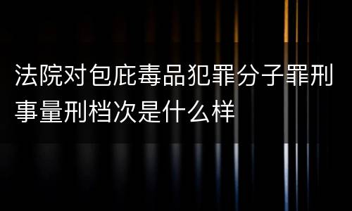 法院对包庇毒品犯罪分子罪刑事量刑档次是什么样