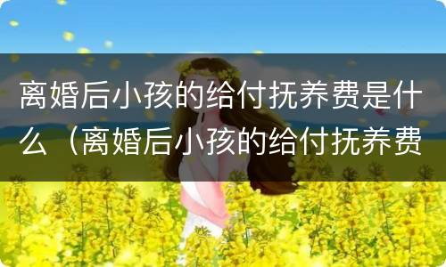 离婚后小孩的给付抚养费是什么（离婚后小孩的给付抚养费是什么意思）