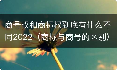 商号权和商标权到底有什么不同2022（商标与商号的区别）