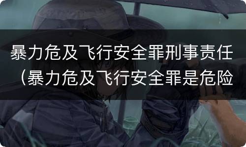 暴力危及飞行安全罪刑事责任（暴力危及飞行安全罪是危险犯吗）