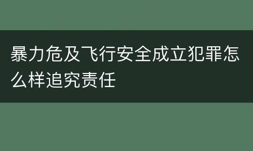 暴力危及飞行安全成立犯罪怎么样追究责任
