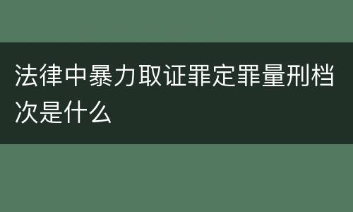 法律中暴力取证罪定罪量刑档次是什么