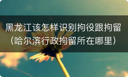 黑龙江该怎样识别拘役跟拘留（哈尔滨行政拘留所在哪里）