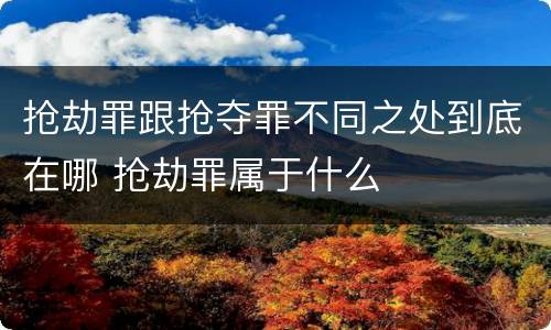 抢劫罪跟抢夺罪不同之处到底在哪 抢劫罪属于什么