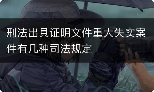刑法出具证明文件重大失实案件有几种司法规定