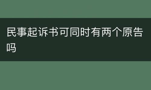 民事起诉书可同时有两个原告吗