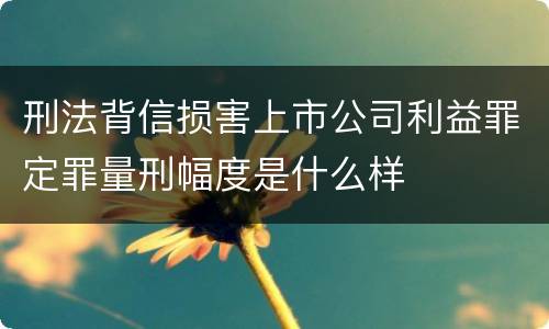 刑法背信损害上市公司利益罪定罪量刑幅度是什么样