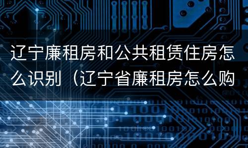 辽宁廉租房和公共租赁住房怎么识别（辽宁省廉租房怎么购买产权）